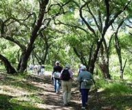 Guided Hiking Tours in Ojai CA