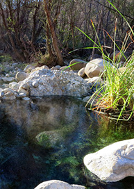 Bike Tour and Hot Springs Soak